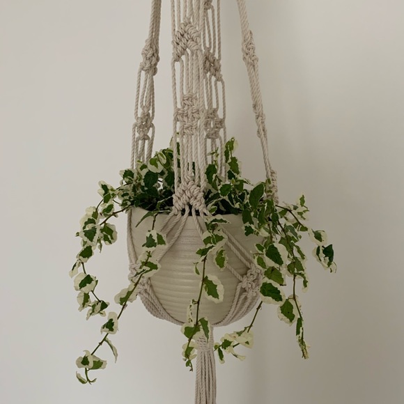 Hand Crafted Other - Macrame Plant Hanger
